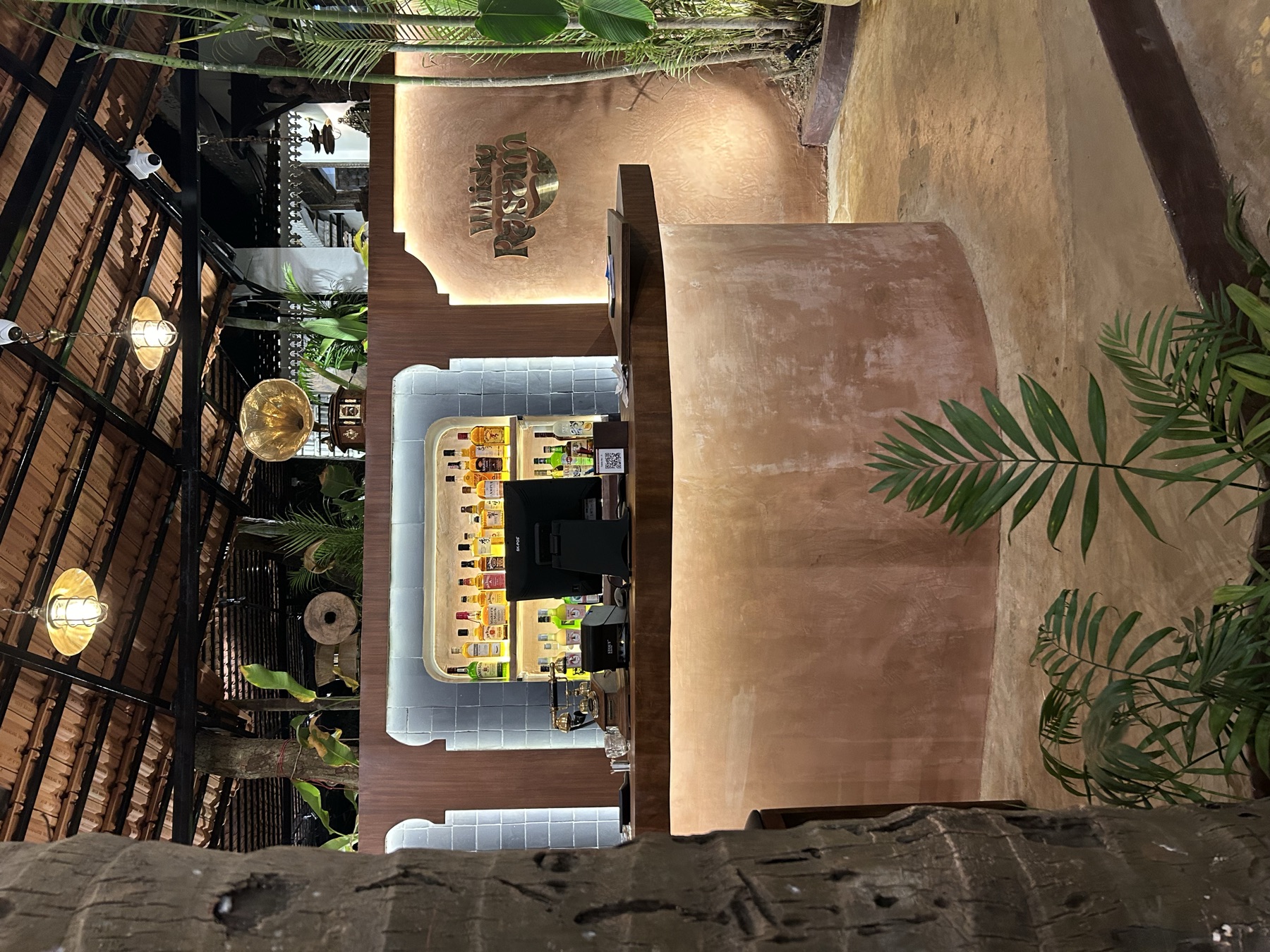 Curved plaster bar counter wrapping the service station, framed by palms